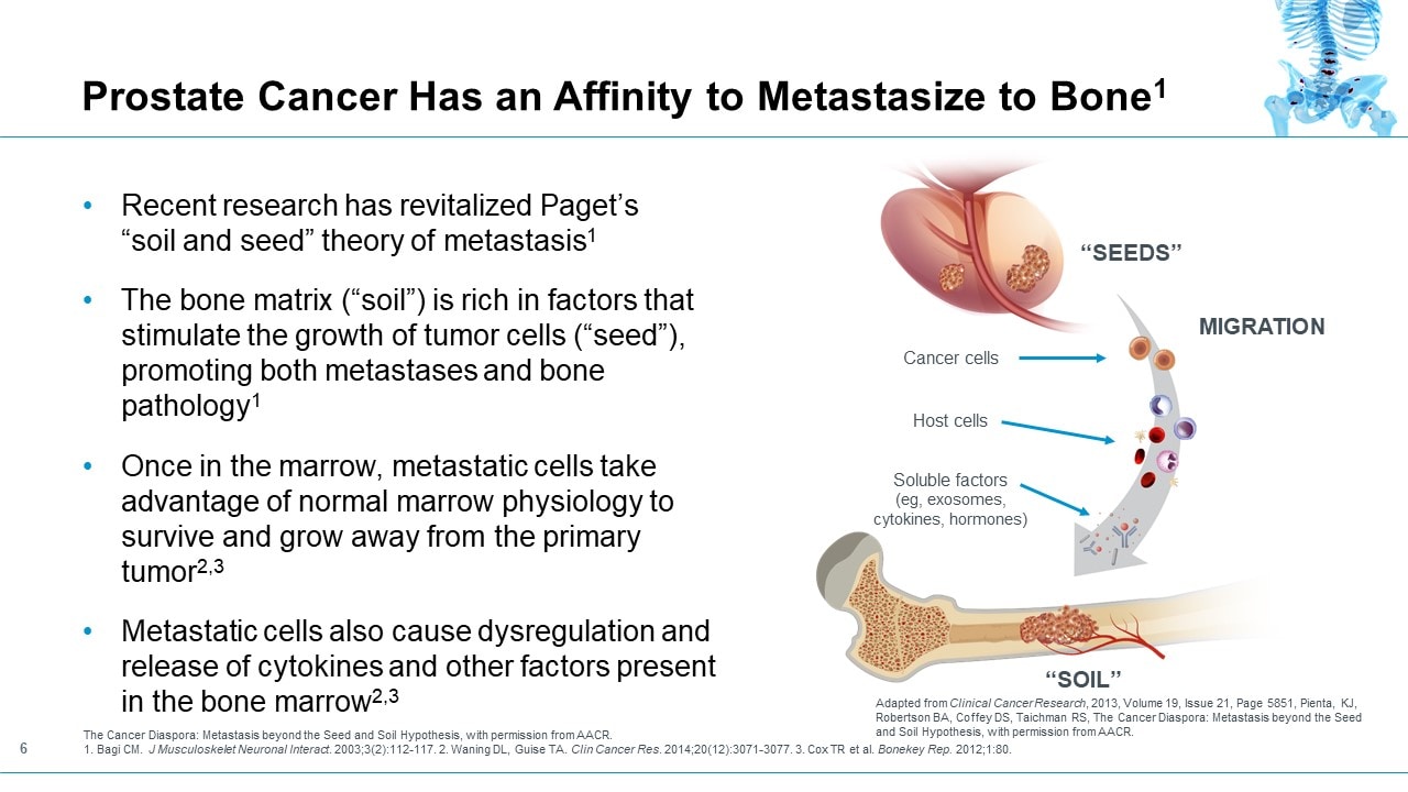 Slide 6